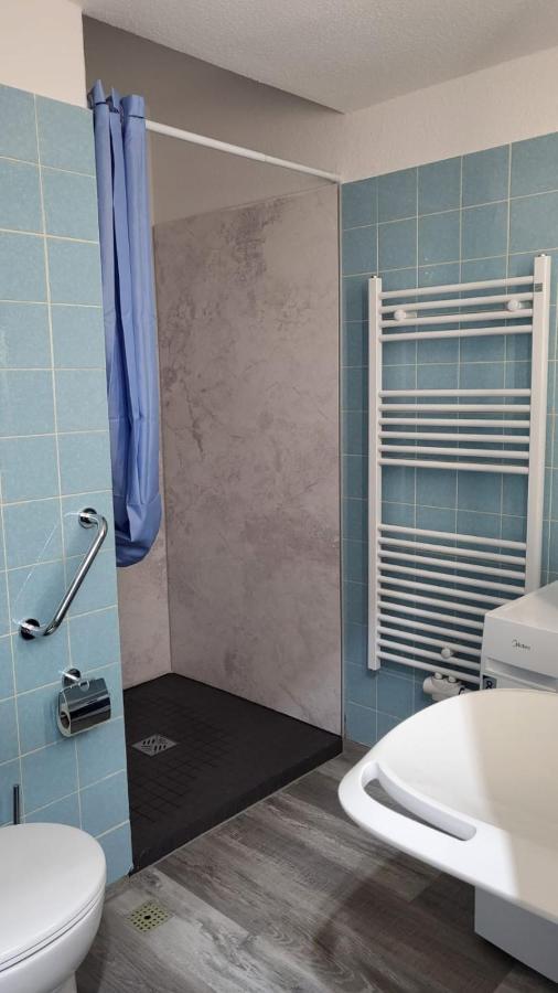 Ferienwohnung Marie-Luise Hahnenklee ゴスラー エクステリア 写真