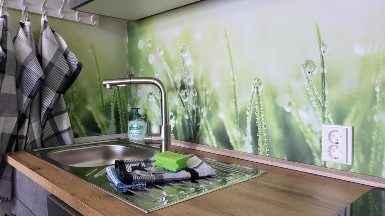 Ferienwohnung Marie-Luise Hahnenklee ゴスラー エクステリア 写真