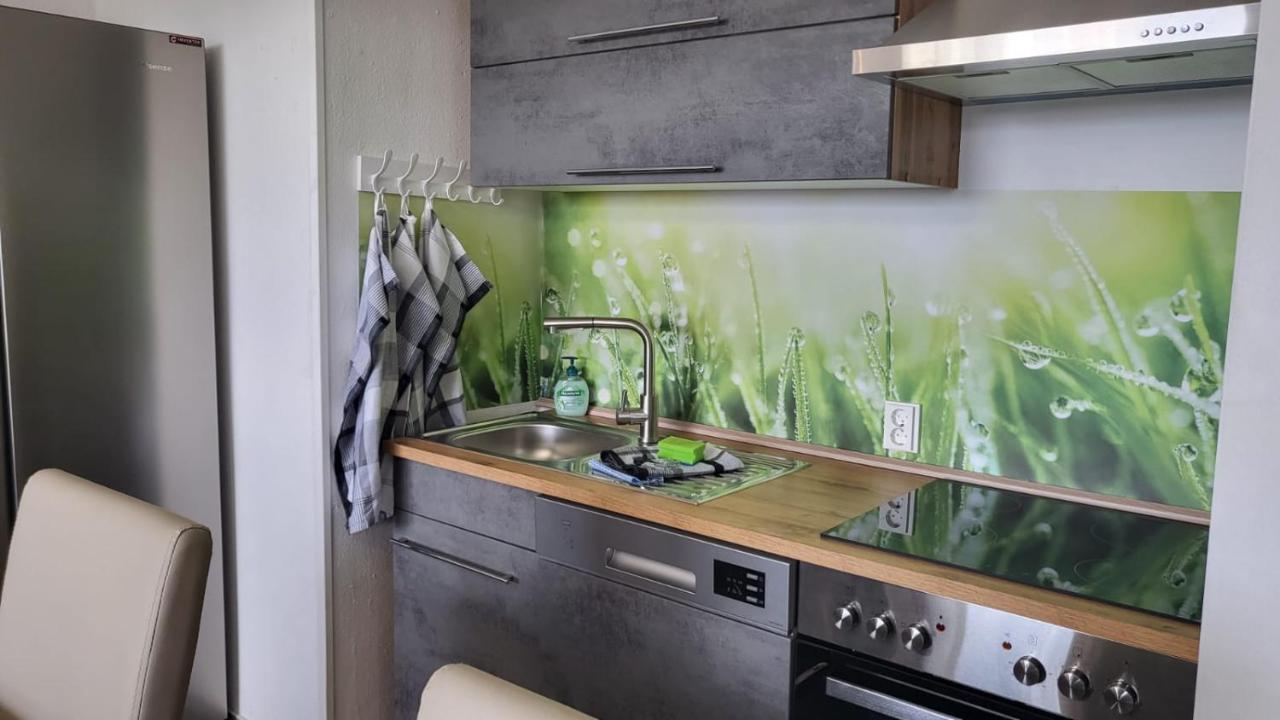 Ferienwohnung Marie-Luise Hahnenklee ゴスラー エクステリア 写真